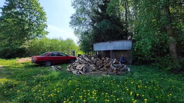 Как выглядят деревни севера Беларуси на берегах Западной Двины  20 км до райцентра