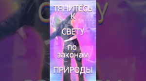 " Буй, буй, буй, буй " - Бактияр Токторов, танец и стихи Наталья Соколова