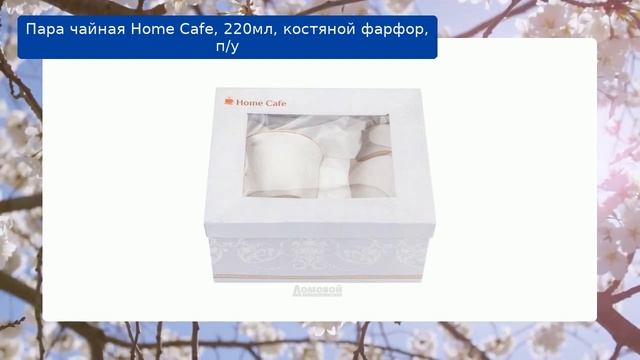 Пара чайная Home Cafe, 220мл, костяной фарфор, п/у обзор смотреть онлайн