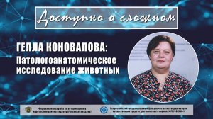 Патологоанатомическое исследование животных