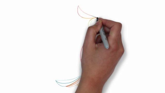 Как нарисовать животных. Рисуем поэтапно попугая какаду смотреть онлайн