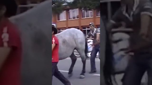 Поломал шоколадку