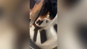 Suzuki vitara 2017, исправление сход развал задней балки