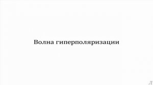 3.3 Параметры нервной системы. Волна гиперполяризации