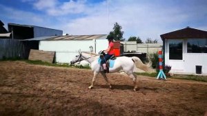 ВЕРХОВАЯ ЕЗДА ( ГАЛОП) ? МОЁ 17 ЗАНЯТИЕ ?