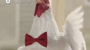 Ко ко ко ко ко