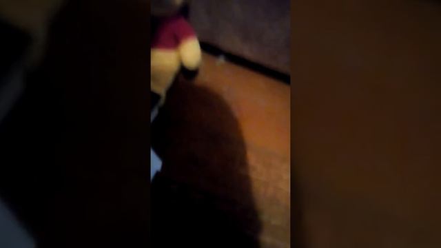 Школа животных. Контрольные. смотреть онлайн