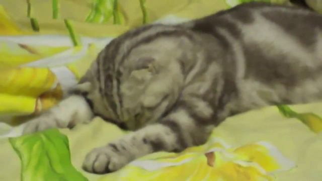 Когда бороться уже нет сил! смотреть онлайн