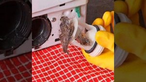 Стиральная машина не сливает воду - причины
