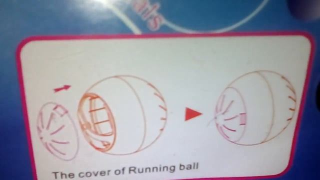 МНЕ КУПИЛИ ХОМЯКОВ?/Просто Вика/Джунгарские хомячки/Джесси и Хома/Дневник Диппера/Гравити Фолз. смотреть онлайн