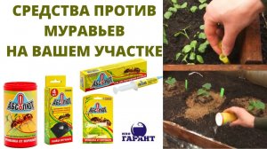 Приманка для муравьев. Серия Абсолют от муравьев