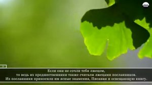 Сура 35 Фатыр
Чтец: Мансур Мухиддин