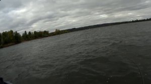 Ловля жереха осенью троллингом.