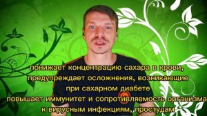Адаптогены. Женьшень, элеутерококк, левзея, родиола розовая, лимонник китайский (дальневосточный).