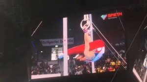 Мужские снаряды в спортивной гимнастике