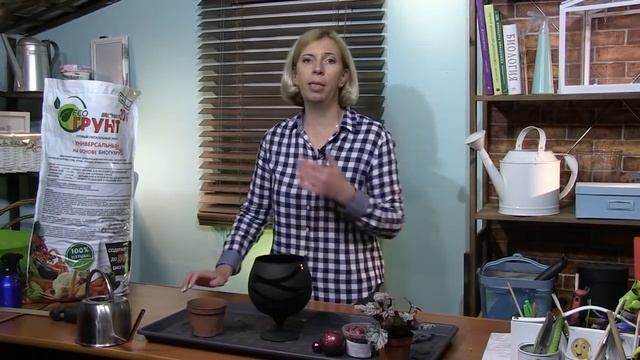 Как посеять герань? Как избавиться от черных мошек? Как собрать стеллаж для рассады? смотреть онлайн