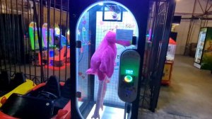 Аттракционы центрального парка города Шахты в июне 2023 года Ростовской области