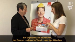 "Ich bin nicht so der Glitzermensch": Barbara Hendricks (SPD) verschönert ihr Wahlplakat