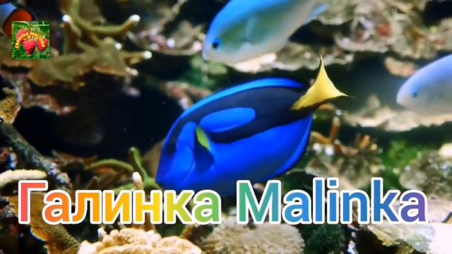 Макеева /Мальков /Малькова /Маразм крепчал, деревья гнулись /Обзор Макеевщина /