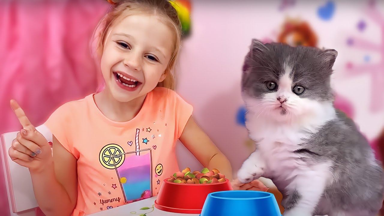 У Насти появились маленькие котята. Новые истории для детей смотреть онлайн