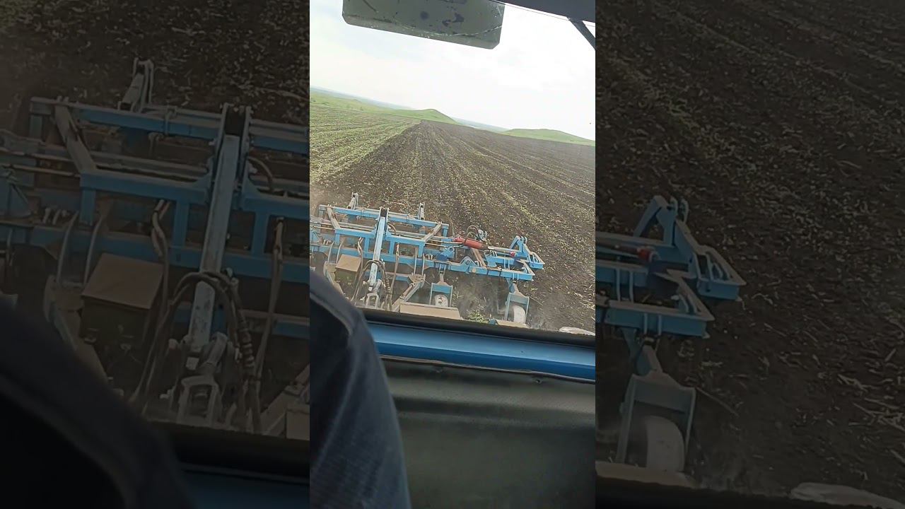 15 мая 2024 г. смотреть онлайн