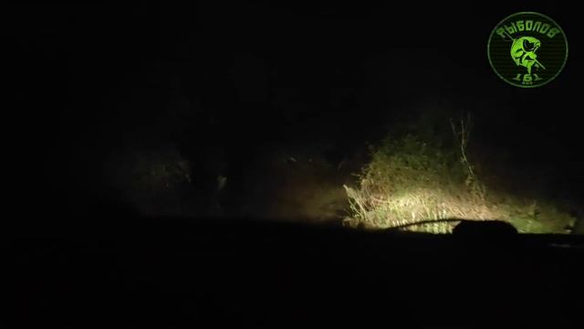Ночная рыбалка на Северском Донце! в поисках рыбы. смотреть онлайн
