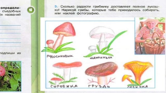 Окружающий мир. Рабочая тетрадь 3 класс 1 часть. ГДЗ стр. 67 №5