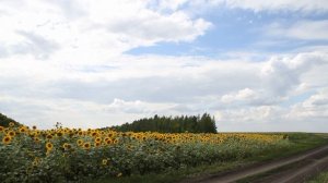 Белгородская область. Презентация региона