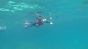 Goidhoo 2023. Maldives, Baa-atoll.