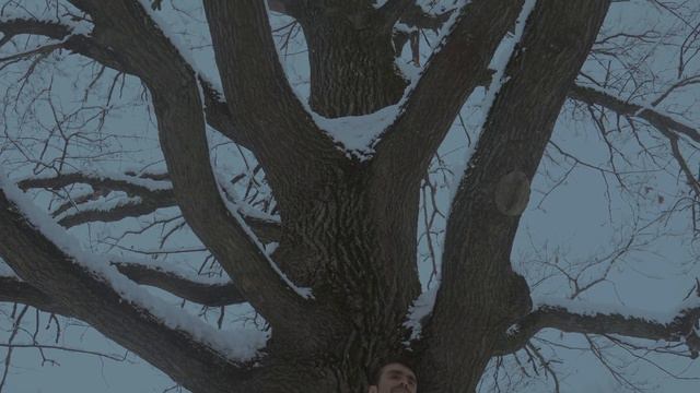 Костя Дмитриев - Год сурка смотреть онлайн