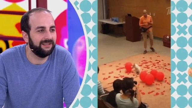 Джек попал на ТВ/Джек рассел терьер ПРИКОЛЫ С СОБАКАМИ/ Эти смешные джек рассел терьеры смотреть онлайн