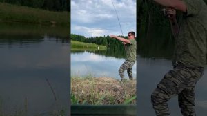 Nautilus nimfa NMFS-582SXUL 177см 0.3-1.5гр