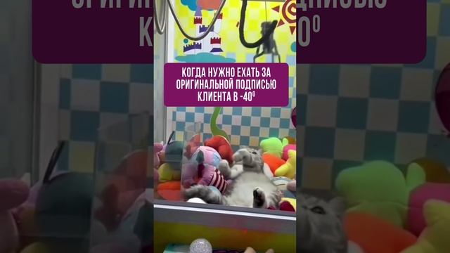 Когда нужно ехать за подписью клиента в -40 с  #rosco #приколы