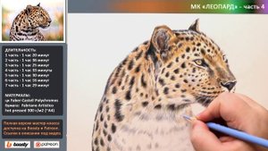 Как нарисовать леопарда цветными карандашами ? ТАЙМЛАПС ? Ускорено в 100 раз!