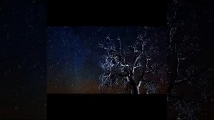 Евгений Росс Евгений Кемеровский Заплутали мишки