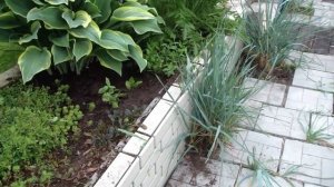 У нас в гостях Ольга ФЕО! Решаем, что посадить у водоема!