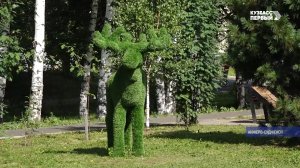 Для красоты и удобства