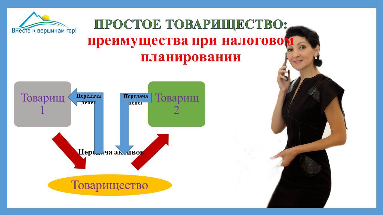 Налоговое планирование и законная оптимизация налогов в простом товариществе. НДС и прибыль, активы.