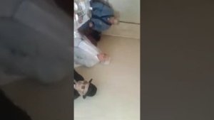 Аккордеон Алмаз
