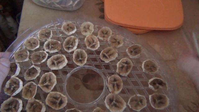БАНАНОВЫЕ ЧИПСЫ СВОИМИ РУКАМИ. КАК СУШИТЬ БАНАНЫ. смотреть онлайн