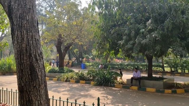 Бомбейский зоопарк. Индия. Выпуск 9. смотреть онлайн