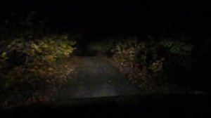 Philips X-Treme Vision H4 +100% test