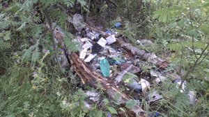 ГРИБЫ срезать или выкручивать? Как правильно?