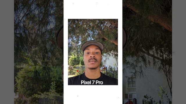 iPhone 14 Pro Max vs Pixel 7 Pro - Camera Test 
