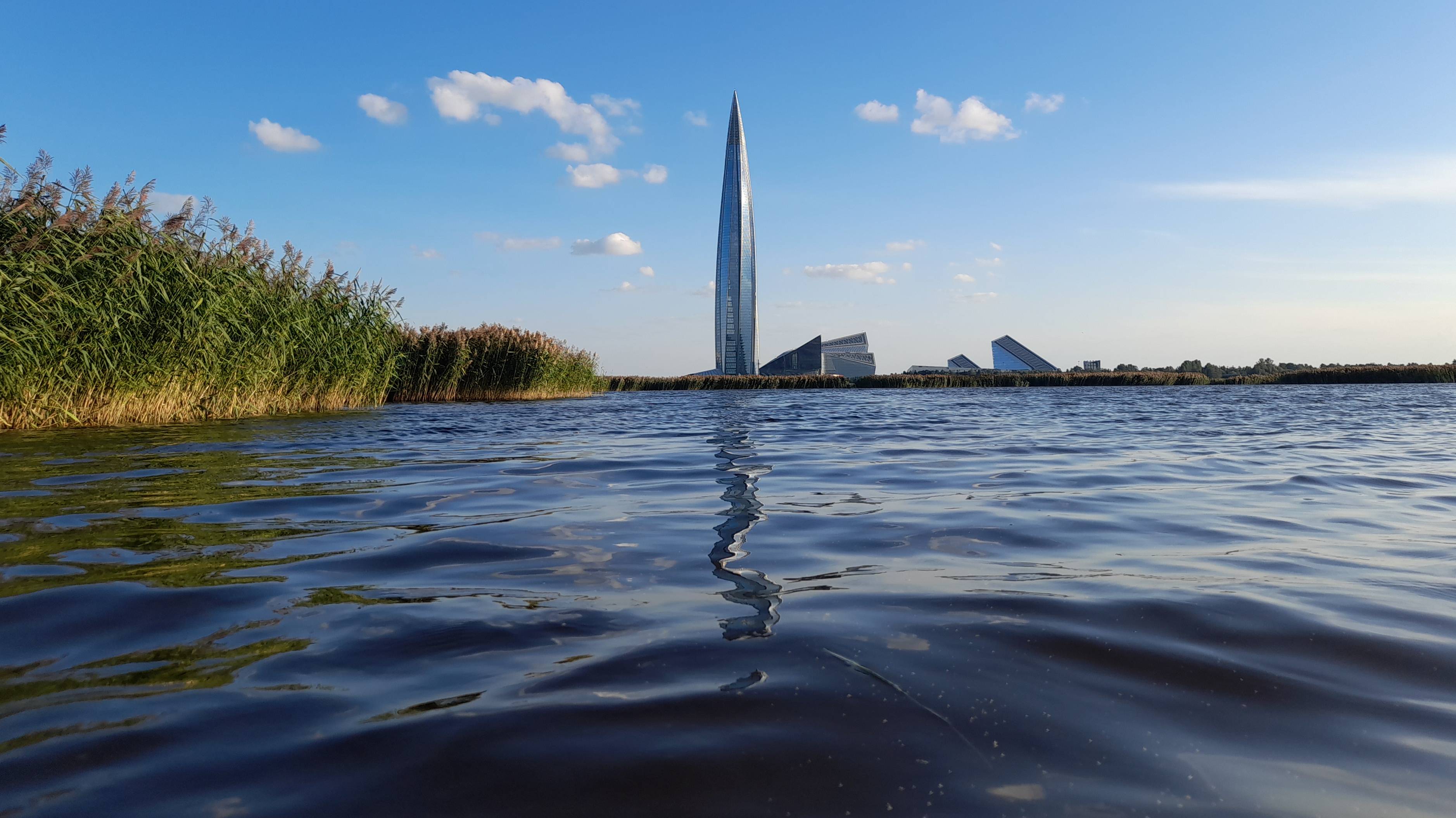 Экотропа Санкт-Петербурга. Набережная реки Глухарки