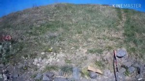 Много змей.Самая страшная Весенняя Рыбалка Змеи везде