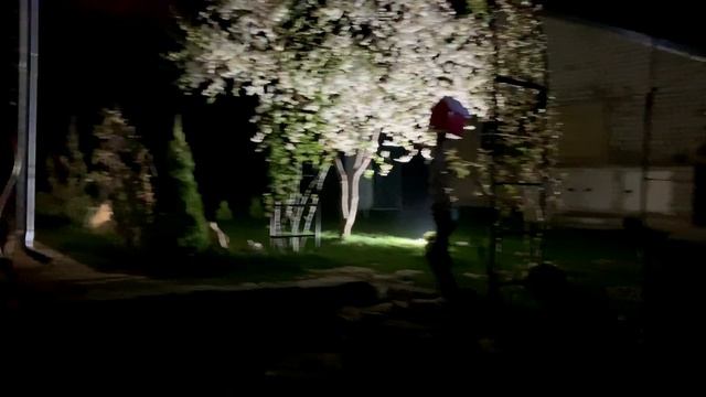 ОСВЕЩЕНИЕ САДА. Декоративная подсветка деревьев и кустарников. смотреть онлайн