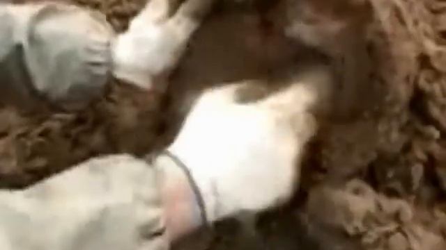 Чёрным копателям посвящается