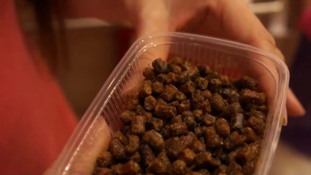 ? Перга пчелиная в домашнюю аптечку! ? смотреть онлайн