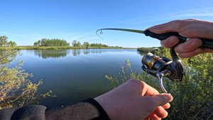 Первая рыбалка на ультралайт! ОКУНЬ КЛЮЁТ С ЛЮБОГО МЕСТА!!! Рыбалка на спиннинг.